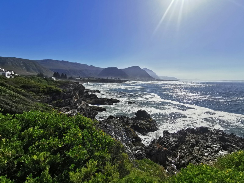 View of the ocean from the Hermanus cliff path