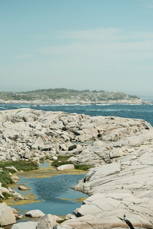 Close-up of a rocky tidal pool
